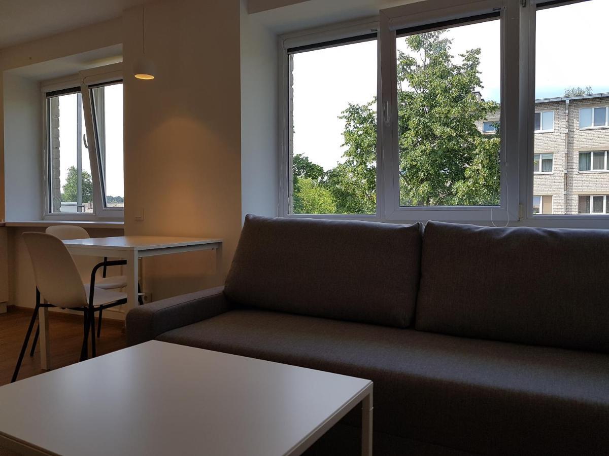 Anyksciai Cozy Studio Exterior photo