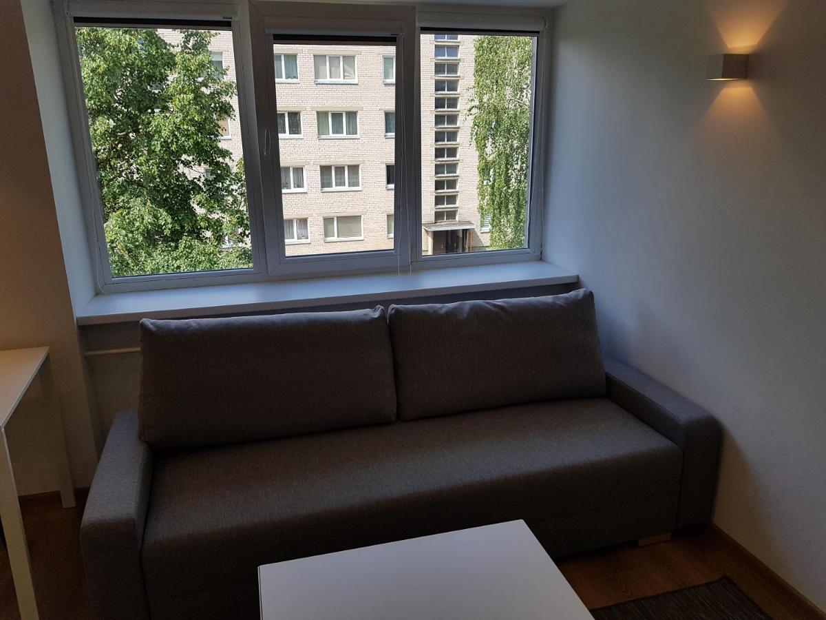 Anyksciai Cozy Studio Exterior photo