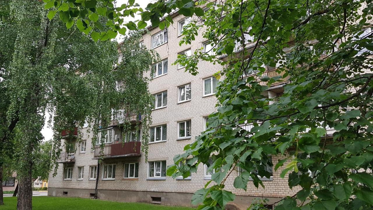 Anyksciai Cozy Studio Exterior photo